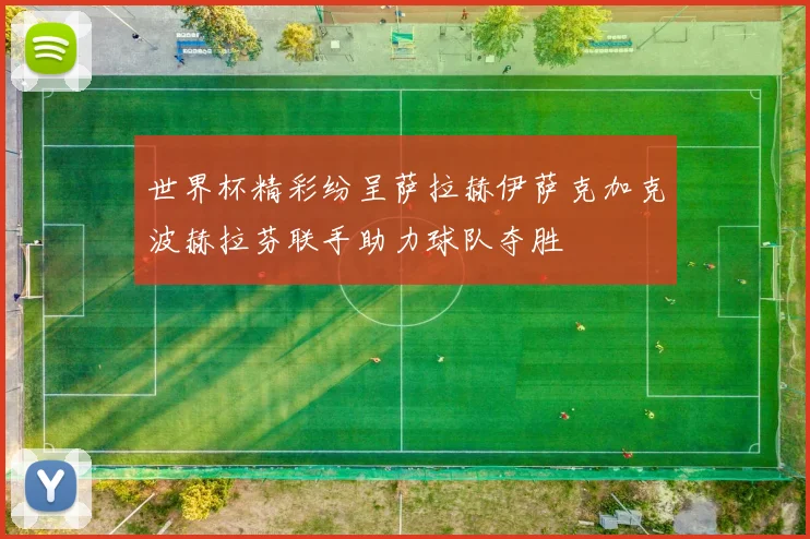 世界杯精彩纷呈萨拉赫伊萨克加克波赫拉芬联手助力球队夺胜