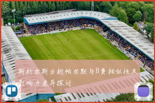 斯科尔斯分析帕尔默与B费相似性及影响力差异探讨